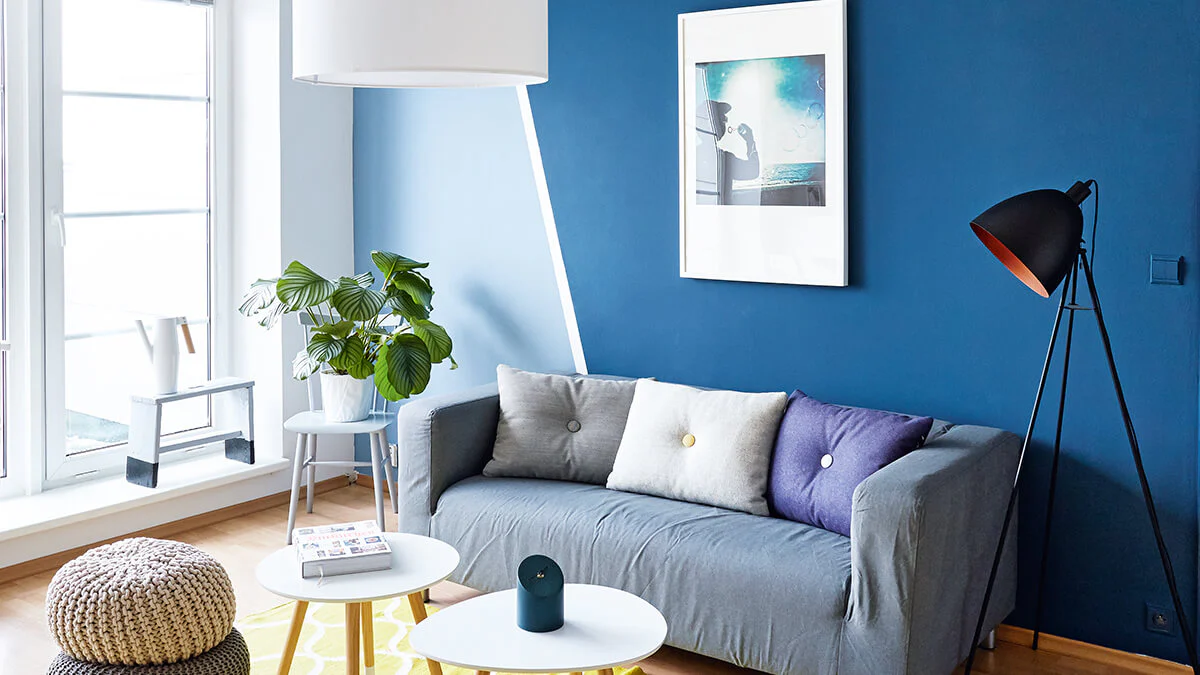Energía y Color para Tu Hogar